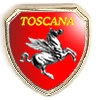 99-03-02-2612 Spille Toscana Scudo Lente Stemma Toscana CONFEZIONI.da 20 Pz.