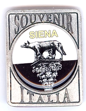 99-02-05-3417 Magneti Siena Rettangolare Lente Lupa CONFEZIONI da n.10 Pz.