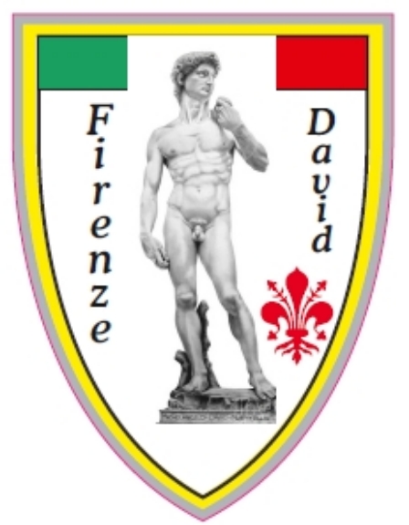 99-08-02-0804 Adesivi Firenze Scudo David Tricolore CONFEZIONI da n.10 Pz.
