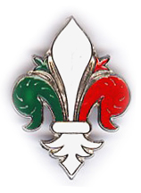 99-02-02-0057 Magneti Giglio Scontornato Tricolore CONFEZIONI da n.10 Pz.