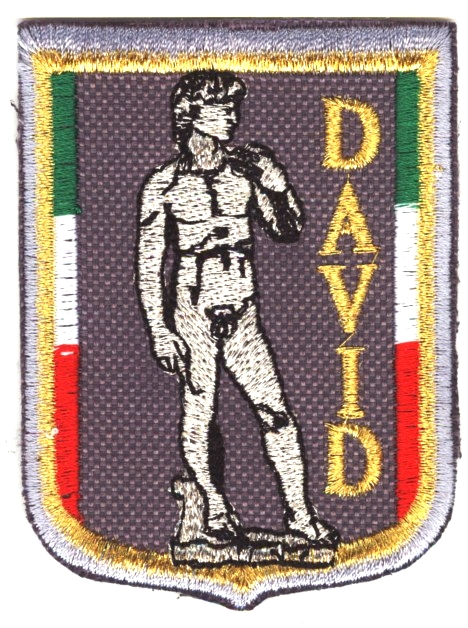 99-06-02-0062 Toppe Firenze Scudo Grigio David CONFEZIONI da n.10 Pz.
