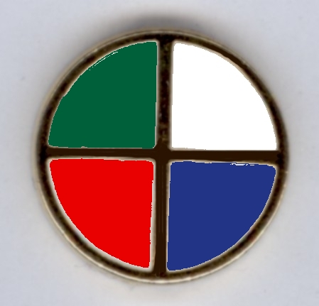 99-03-01-0016 Spille Italia Tonda Tricolore e Blu CONFEZIONI da n.20 Pz.